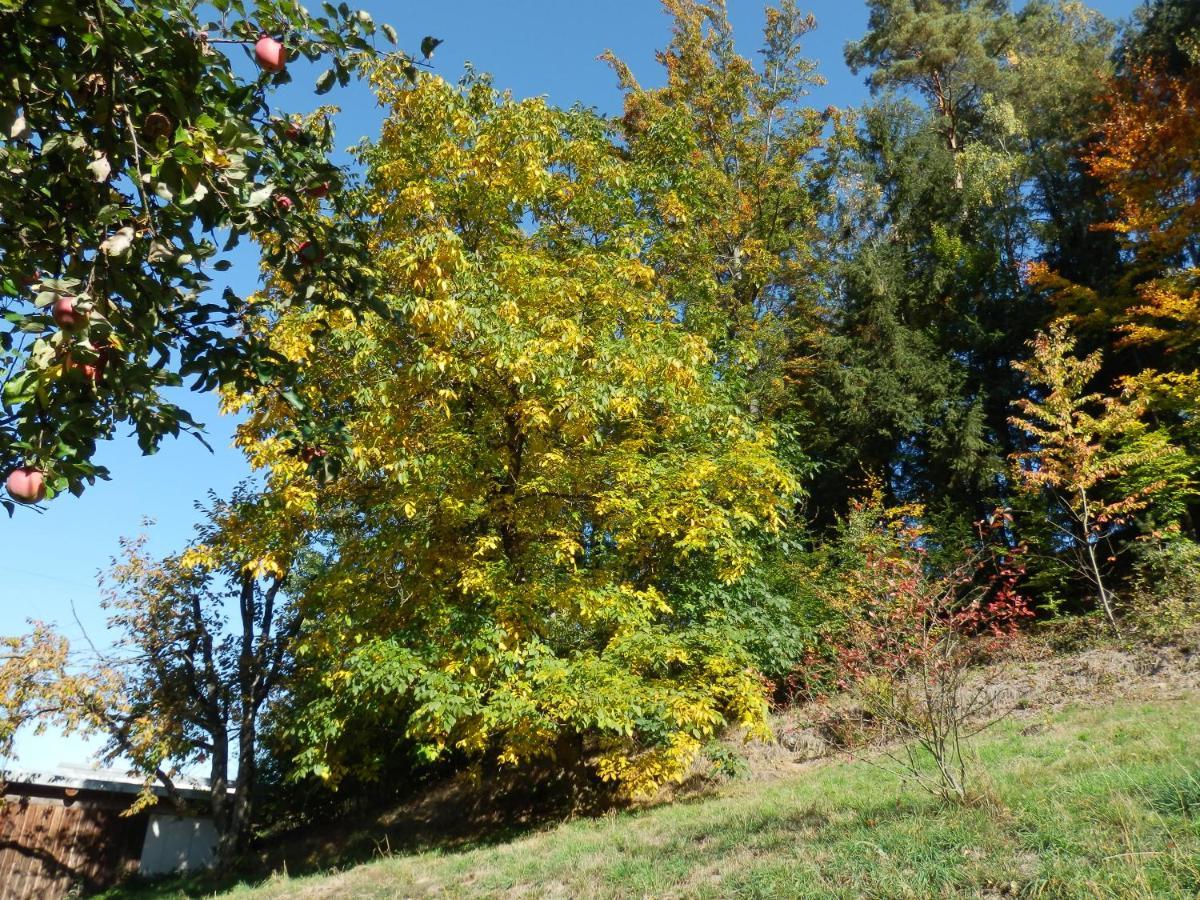 Naturoase Muehlviertel Sankt Johann am Wimberg Buitenkant foto